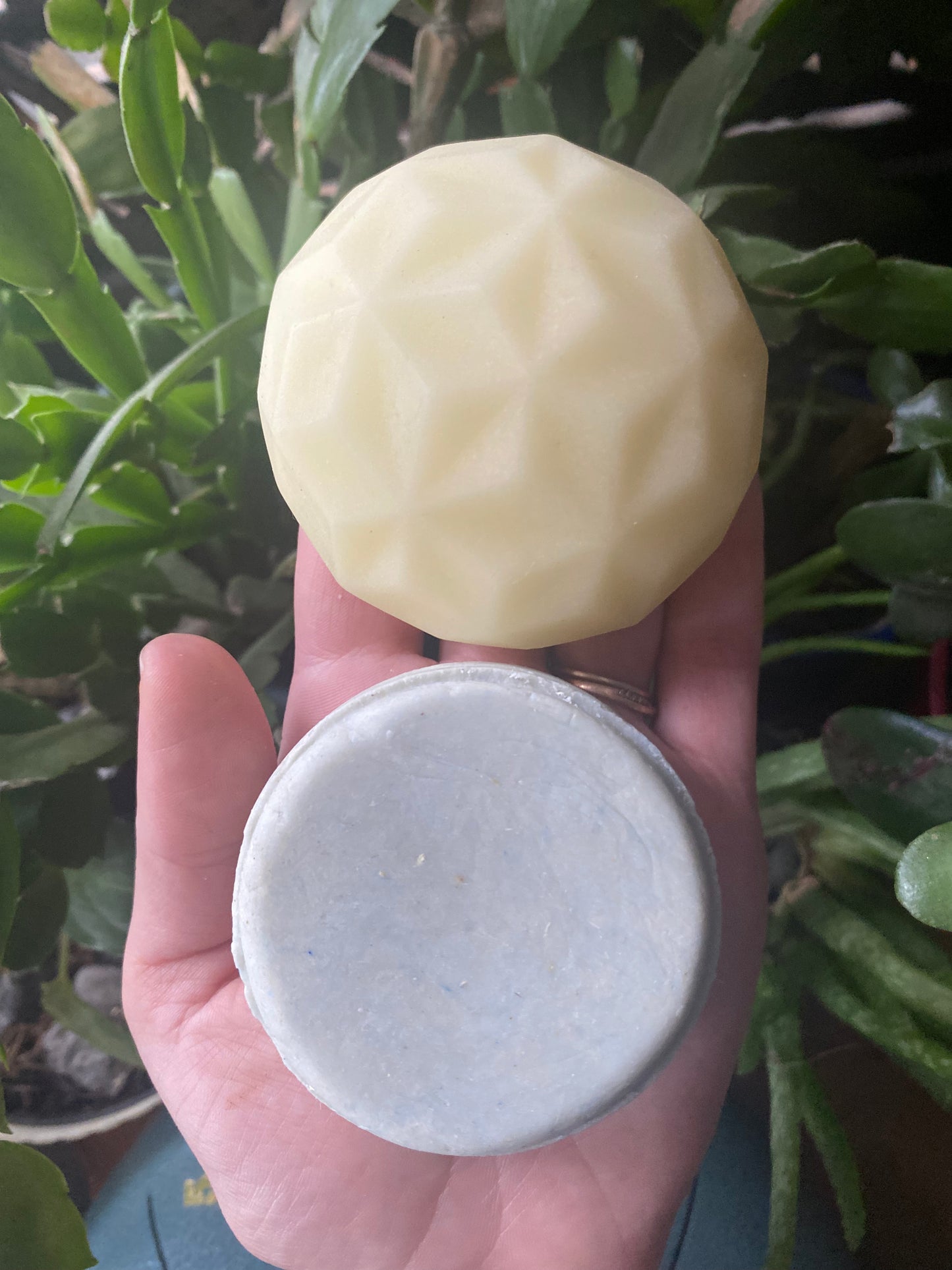 Shampoo & Conditioner Bar Bundle - Save 15%