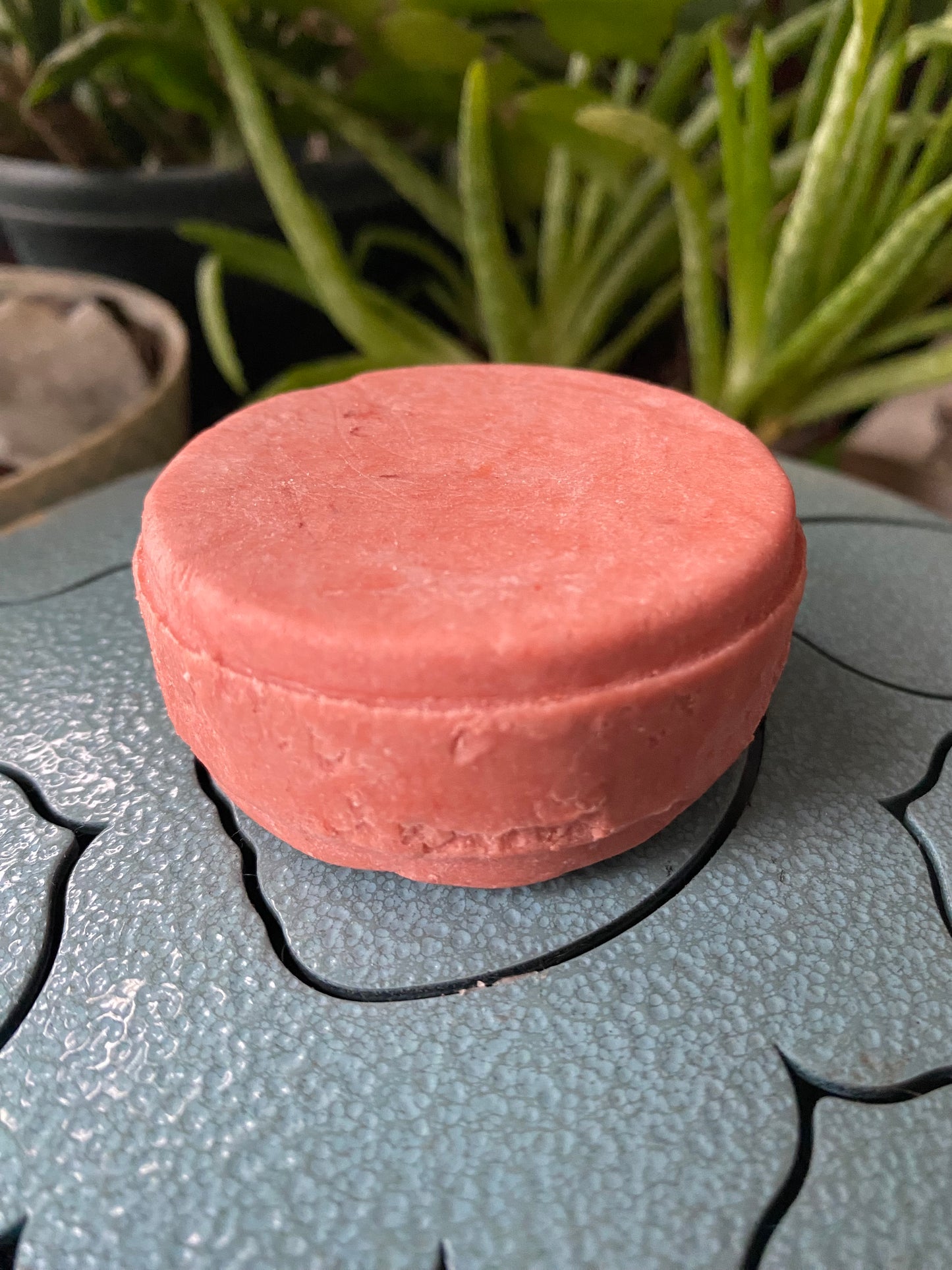 Shampoo Bars