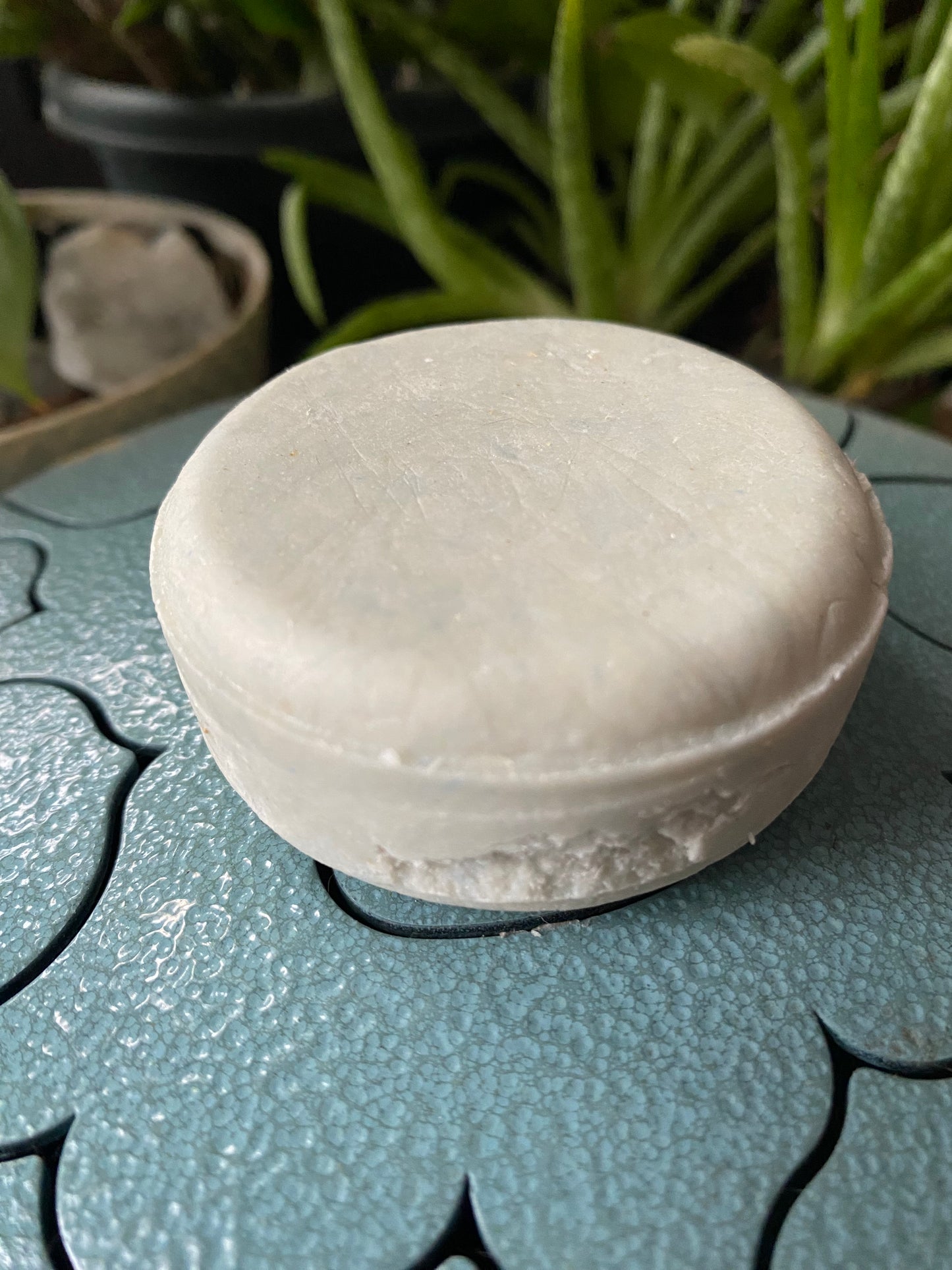 Shampoo Bars