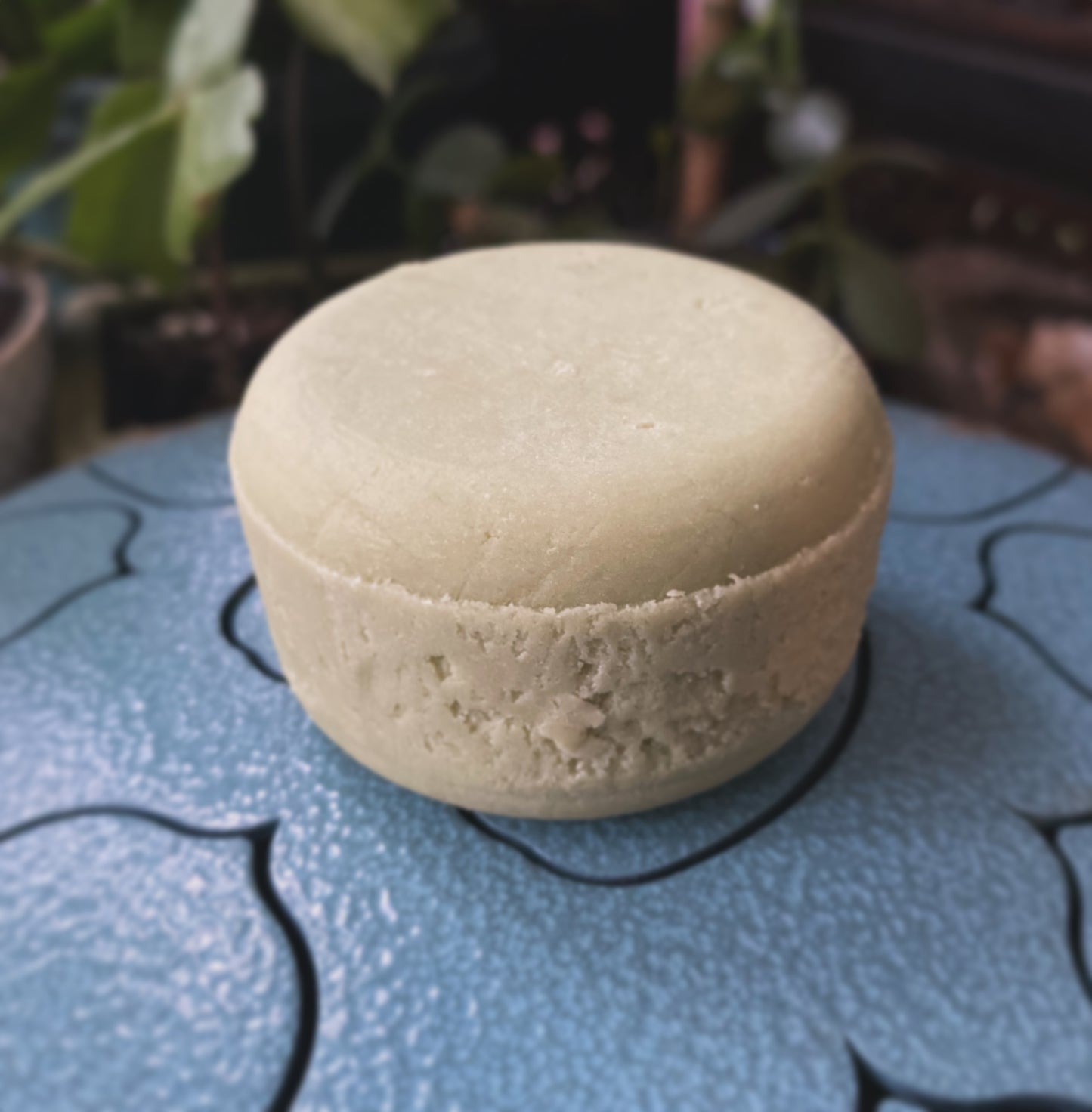 Shampoo Bars